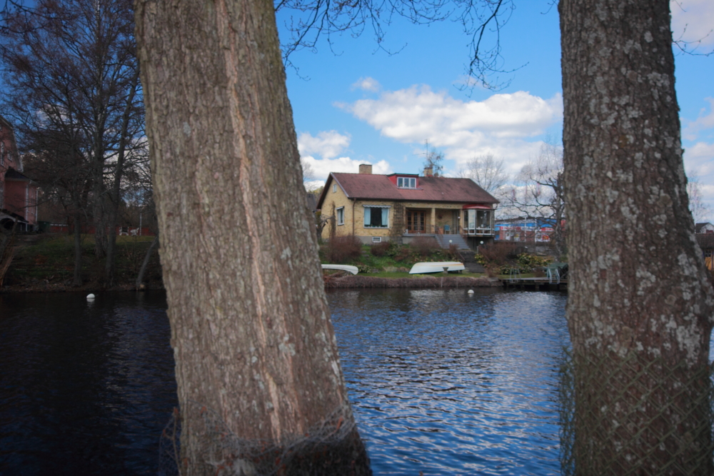 Huset mellan träden