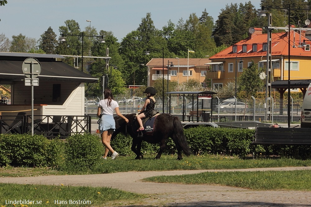 Vårdagsridning