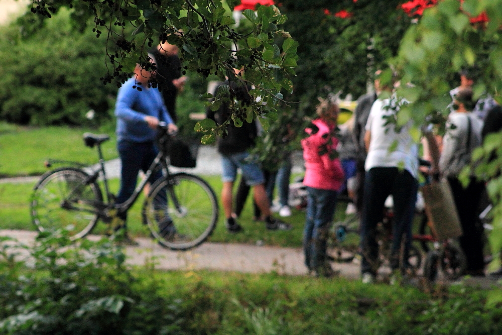 Cyklar mellan träden