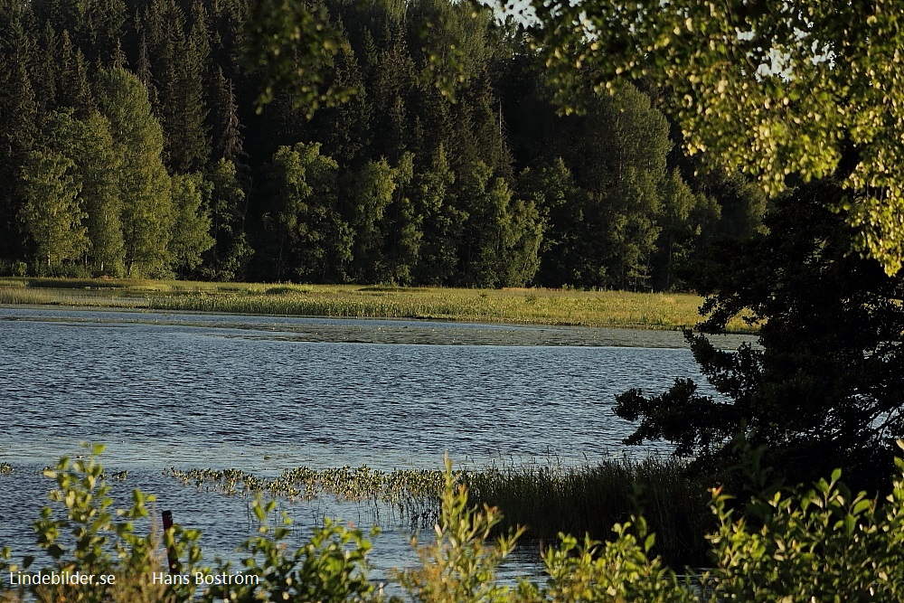 Lindesjön mot Grillplatsen