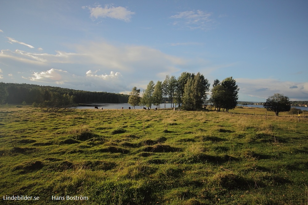 Lindesberg från Näset