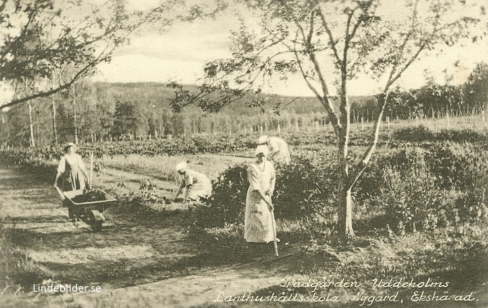 Hagfors, Trädgården, Uddeholms Lanthushållsskola, Nygård, Ekshärad