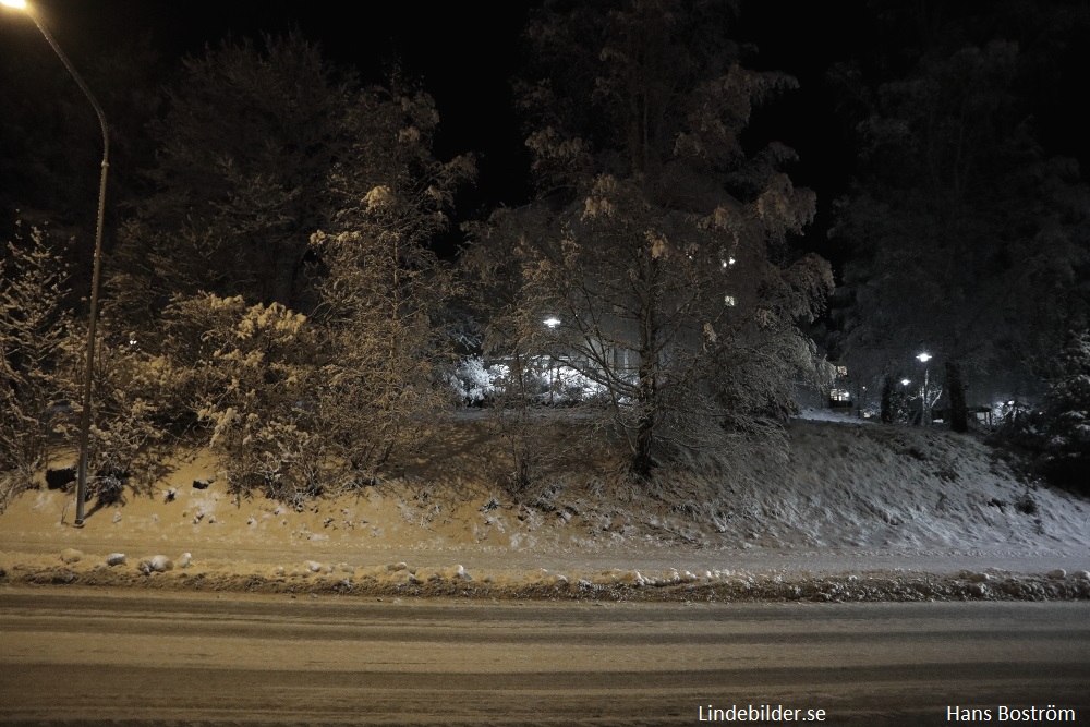 Tallåsen från Bergslagsvägen