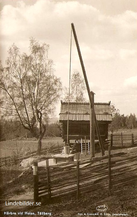 Härbre vid Holen, Tällberg