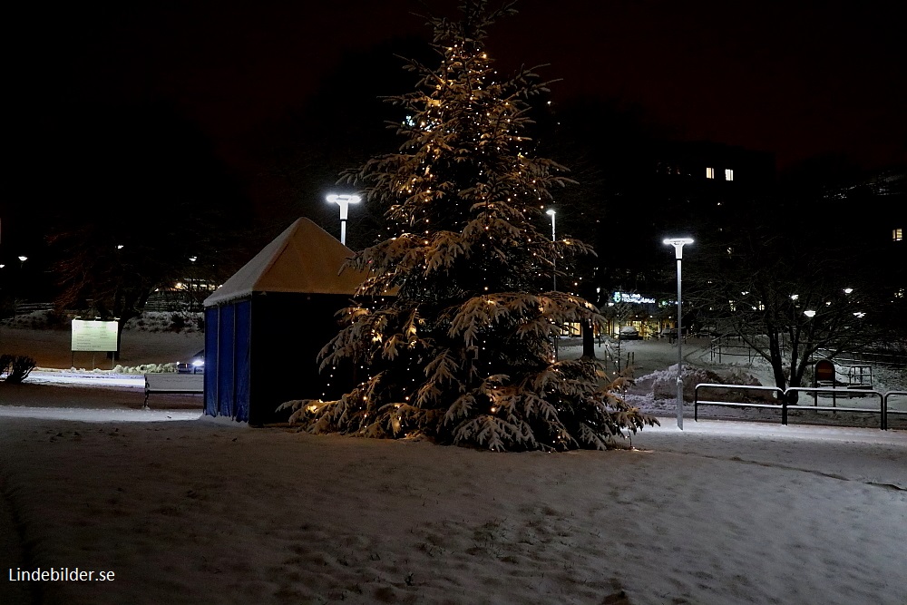 Julgranen och Fontänen