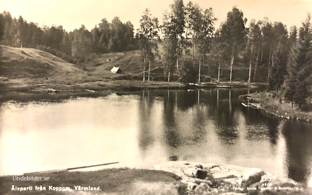 Älvparti från Koppom. Värmland