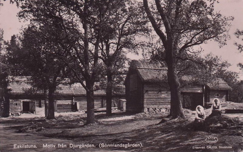 Eskilstuna Motiv från Djurgården, Sörmlandsgården