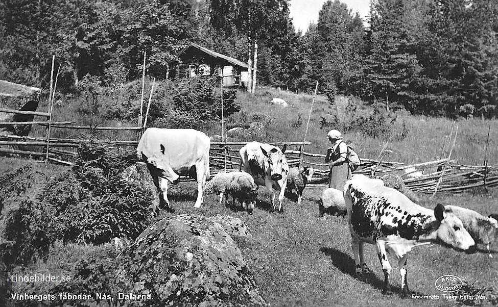 Vansbro, Vinbergets Fäbodar, Nås, Dalarna