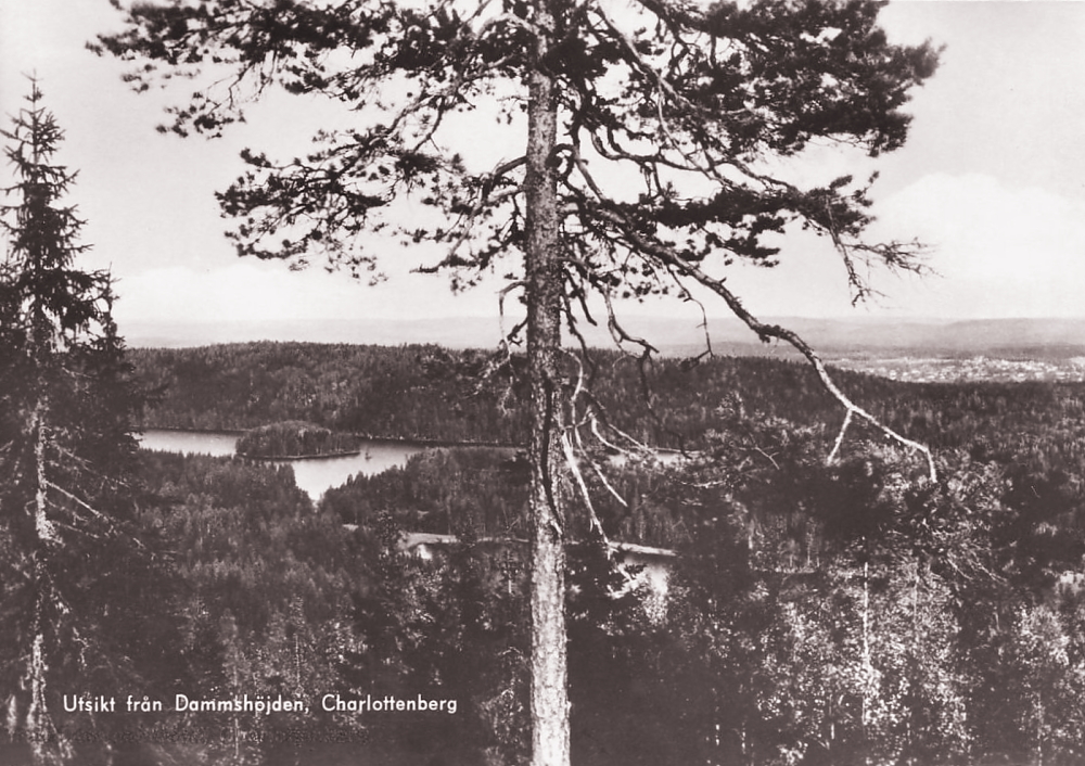 Utsikt från Dammshöjden. Charlottenberg