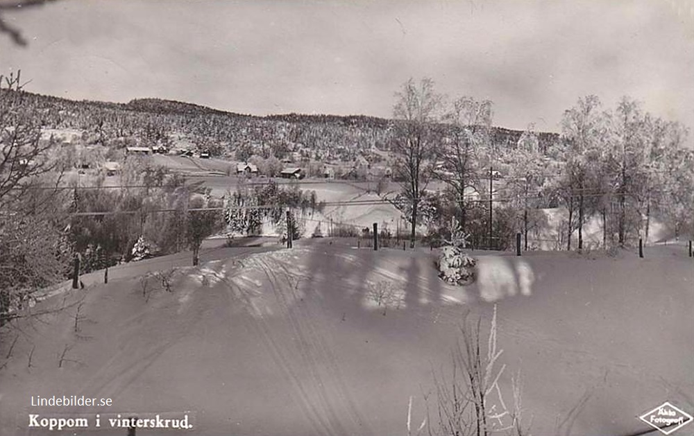 Koppom i Vinterskrud