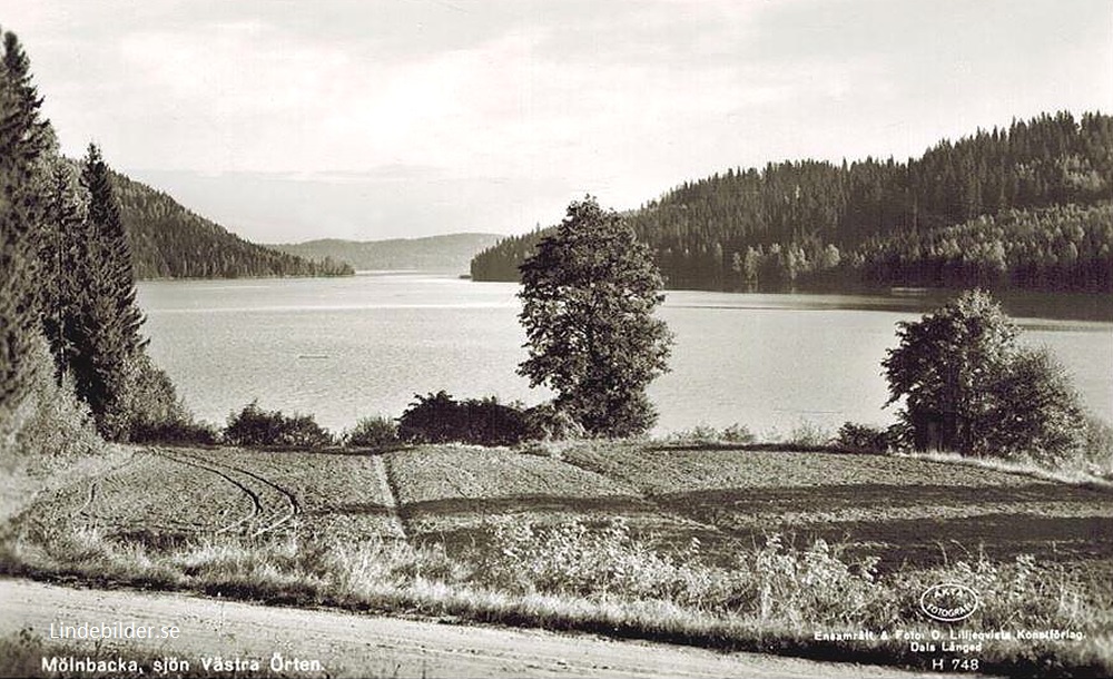 Mölnbacka, sjön  Västra Örten