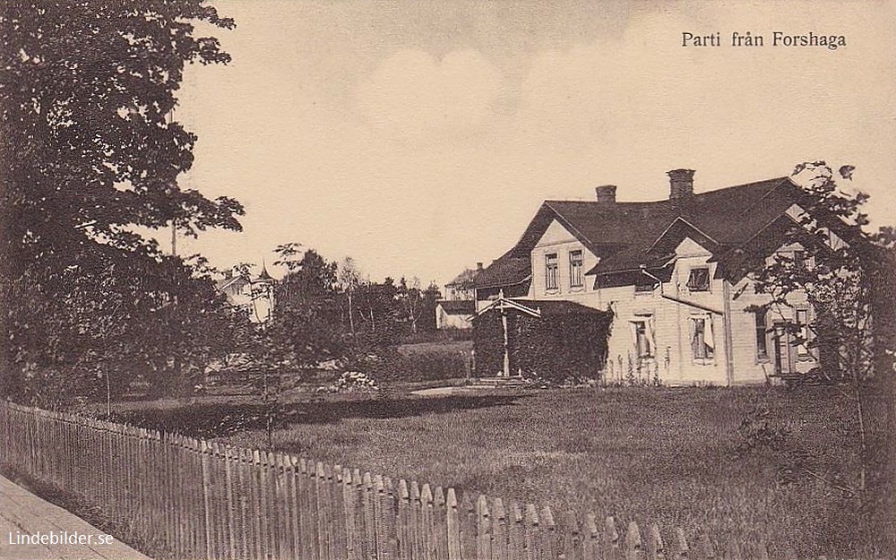 Parti från Forshaga 1909