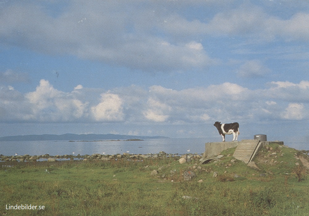 Ranarps Strand, Bjäre