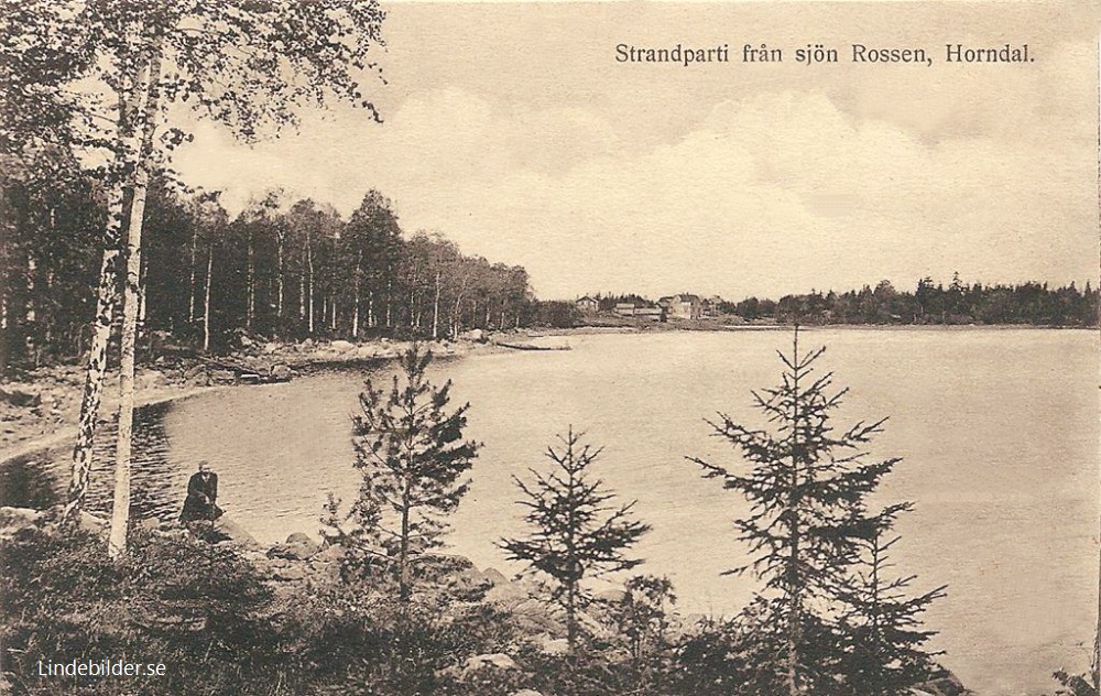 Strandparti från sjön Rossen, Horndal