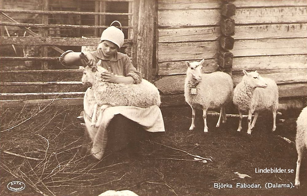 Björka Fäbodar (Dalarna) 1929