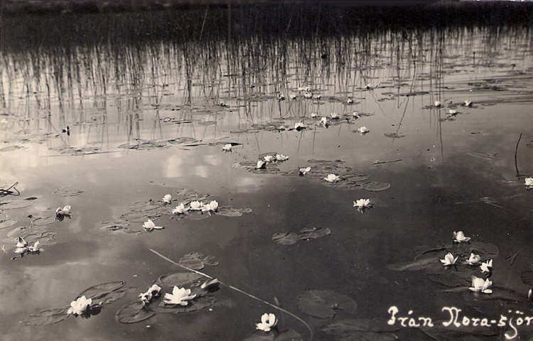 Från Norasjön 1910