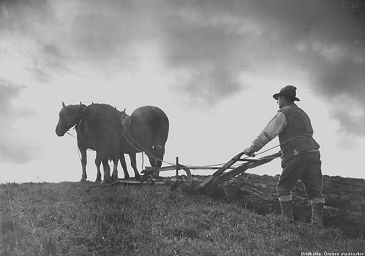 Vintrosa Höstplöjning 1930