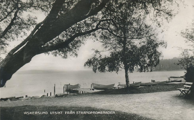 Askersund Utsikt från Strandpromenaden 1931