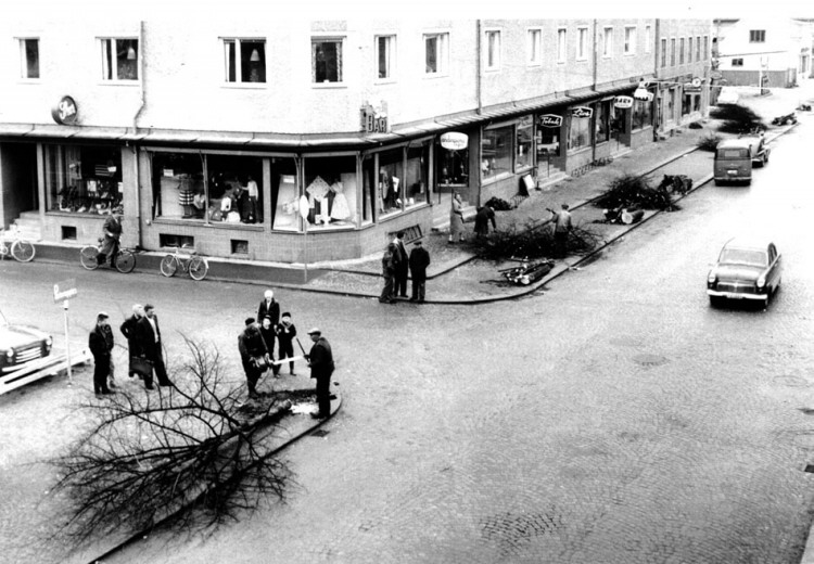 Fällning av Lindarna  1958