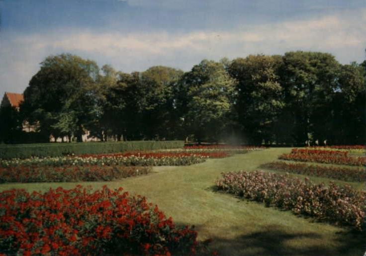 Bäckaskogs Slott, trädgården