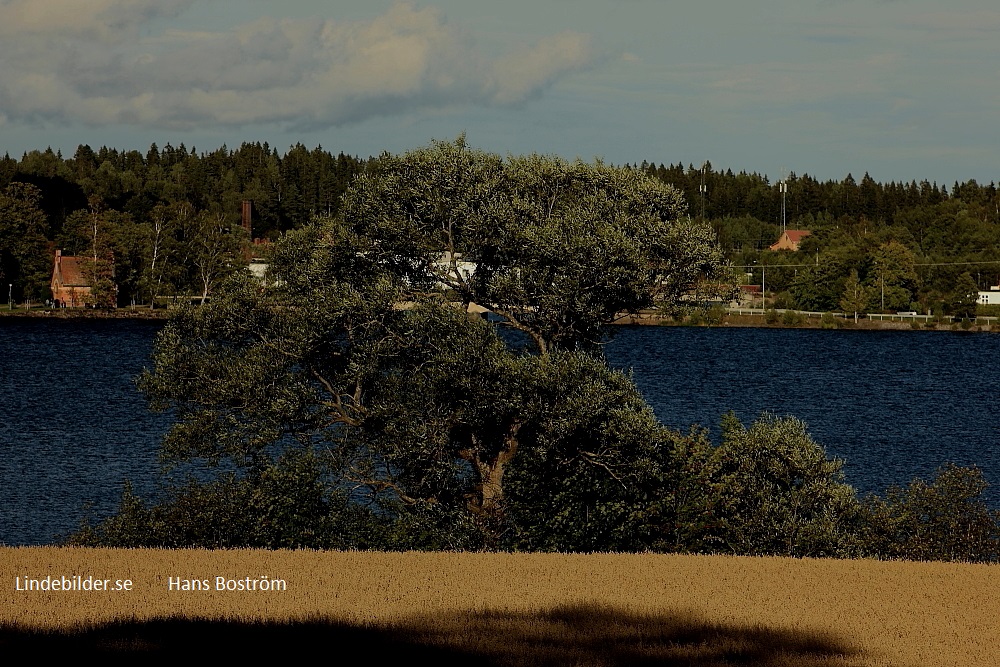 Södra infarten från Torphyttan