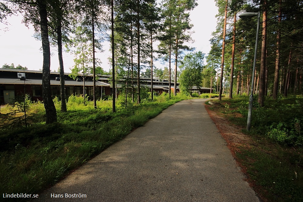 Vägen till Stadsskogsskolan