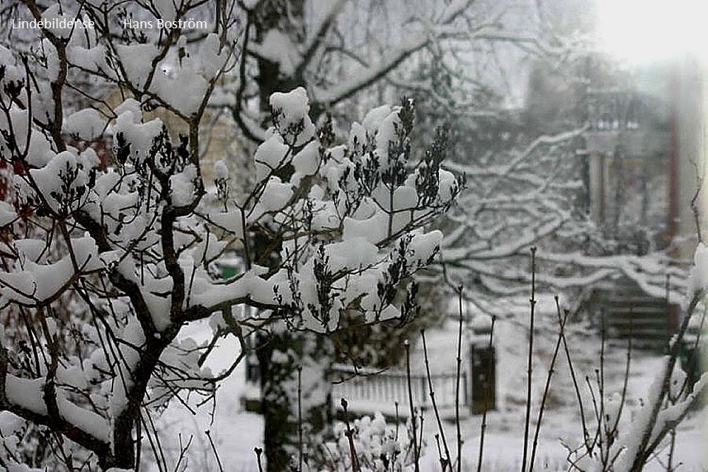 Snöbild från fönstret