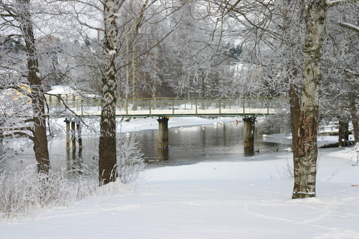 Gröna bron