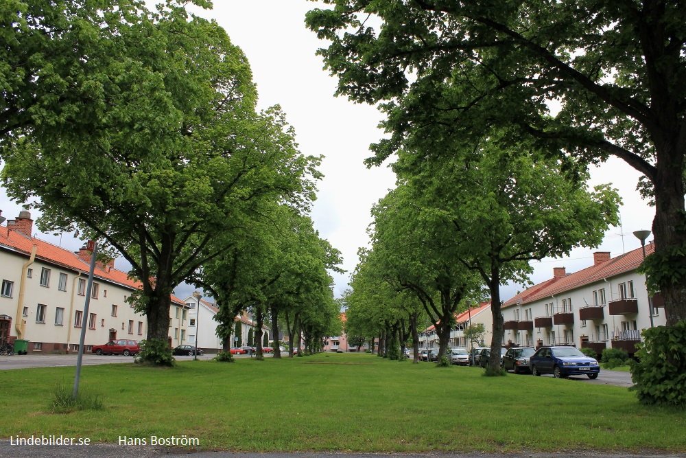 Lindesberg Västerplan 2012