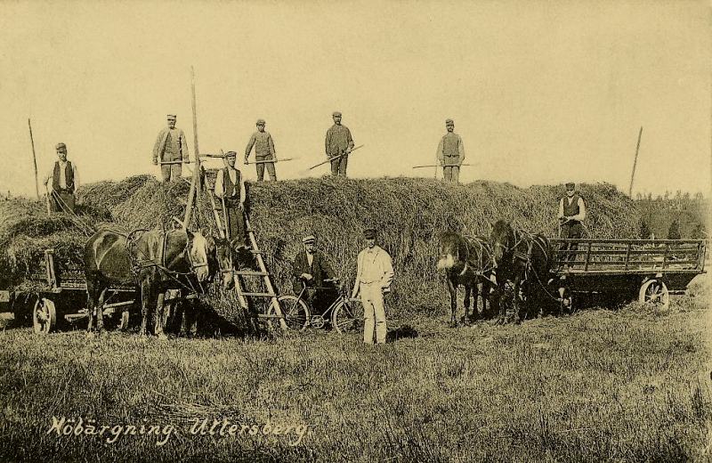 Skinnskatteberg, Uttersberg, Höbärgning 1910