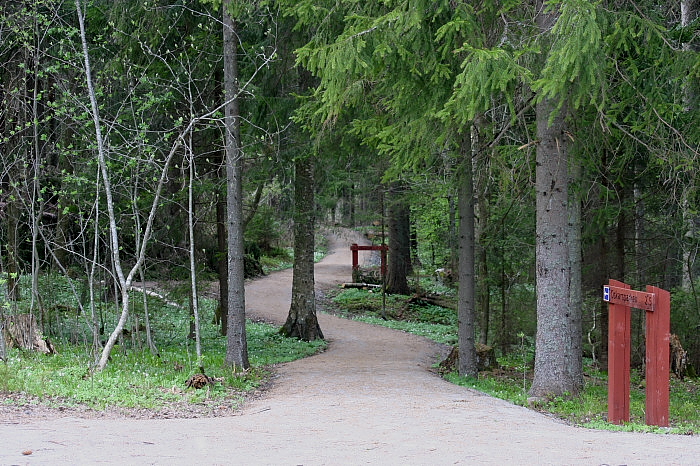 Nu är vi på väg hem igen