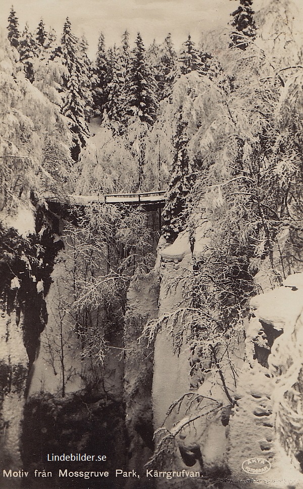 Motiv från Mossgruve Park, Kärrgrufvan