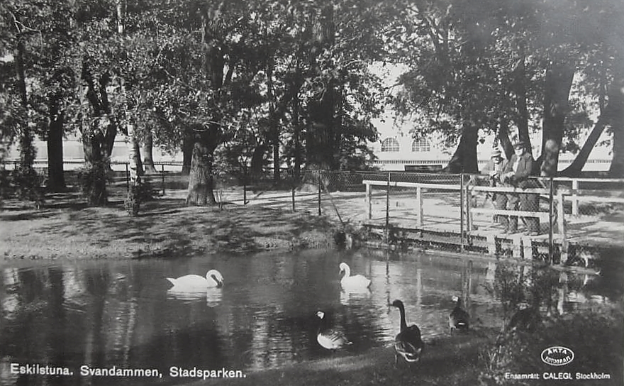 Eskilstuna, Svandammen, Stadsparken 1928