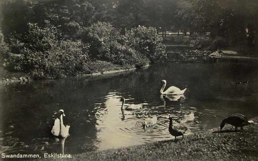 Eskilstuna Swandammen