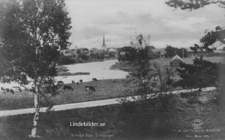 Arboga Från Törnberget 1921