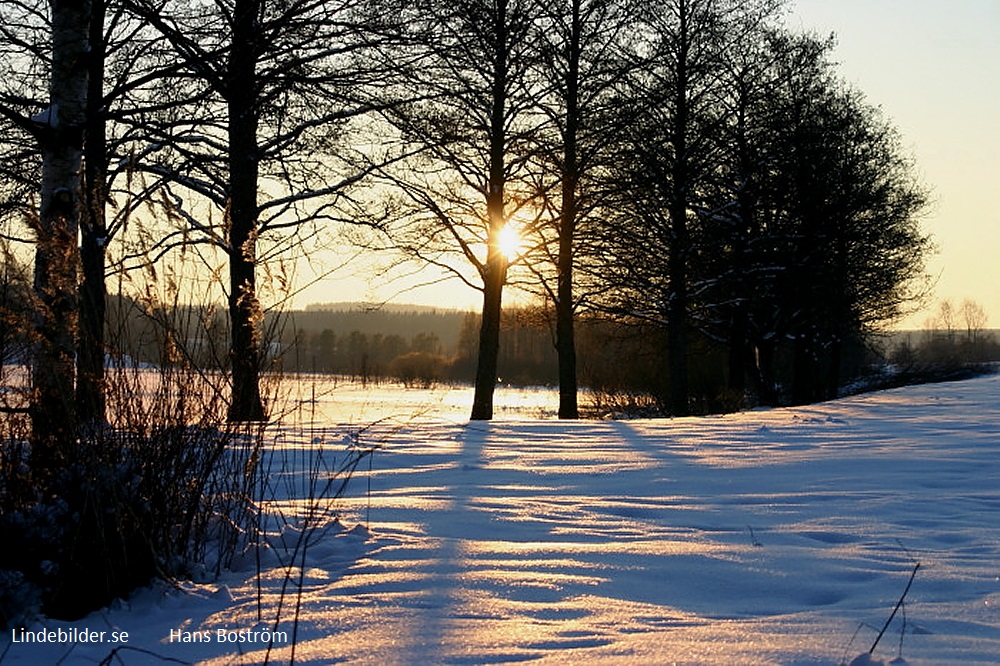 Solnedgång