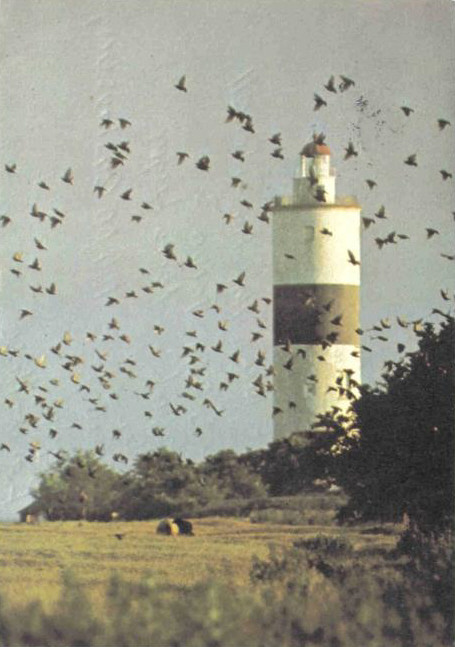 Öland, Fyr Långe Jan