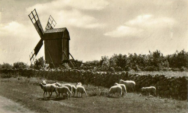 Öland Väderkvarn 1950