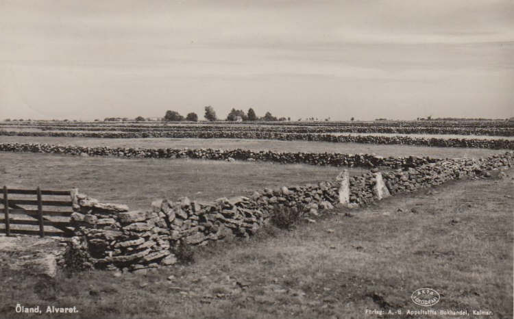 Öland, Alvaret 1952