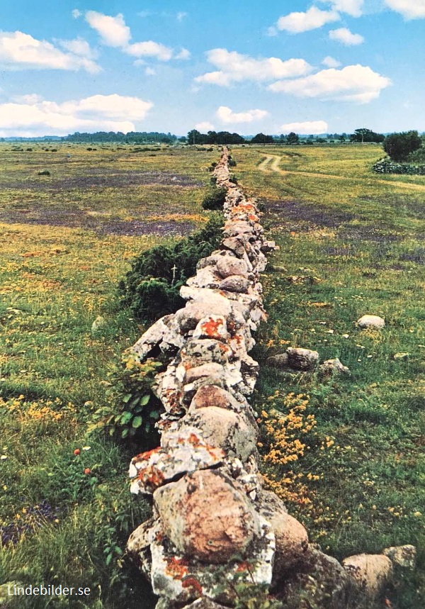 Öland. Alvaret 1972