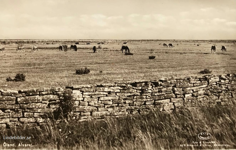 Öland. Alvaret