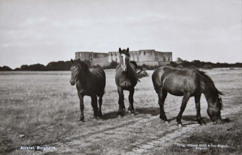 Öland, Borgholm Alvaret