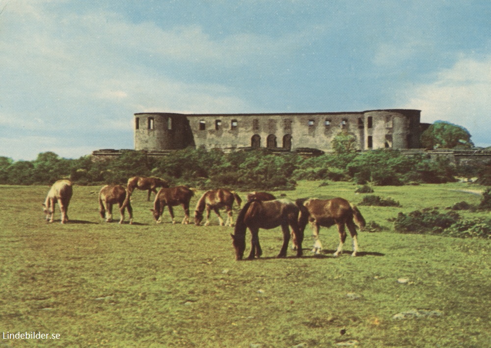 Öland Slottsruinen 1963