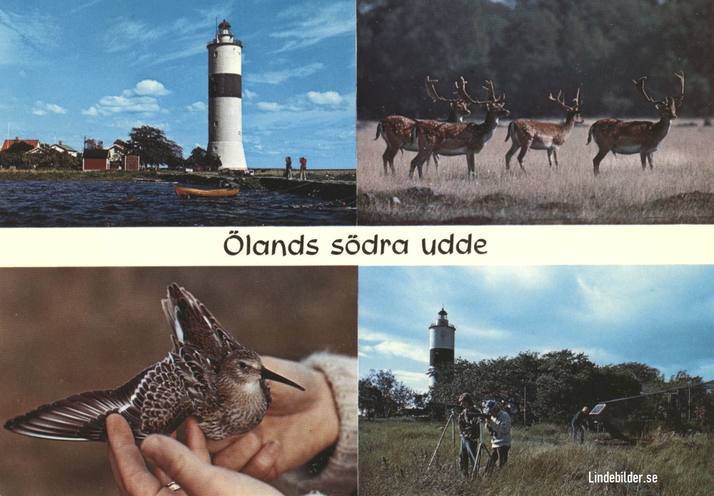 Ölands Södra Udde