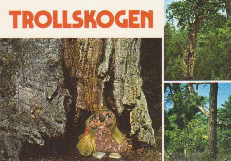 Öland, Trollskogen  Vykort