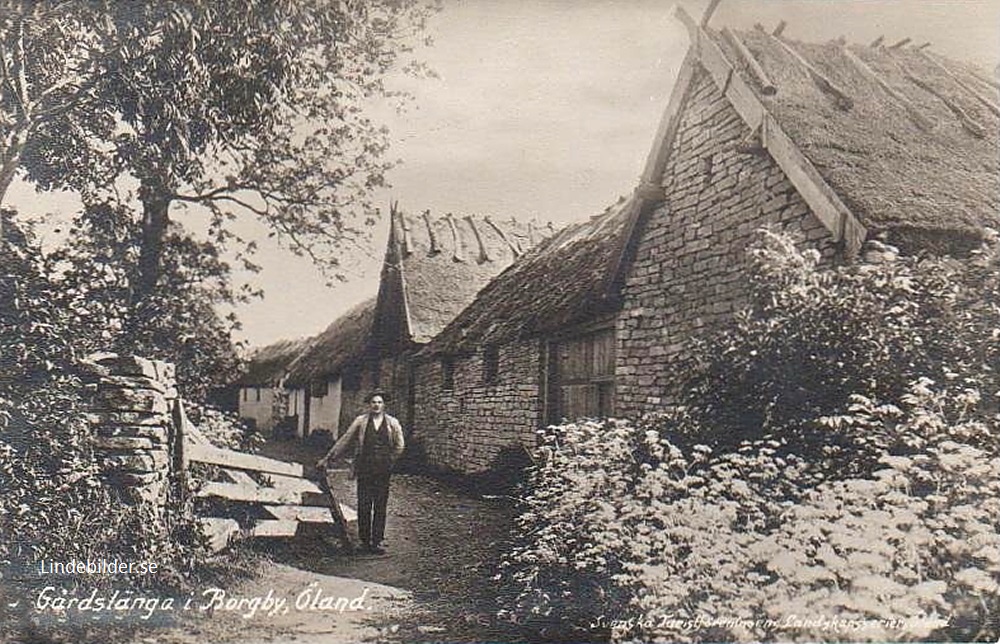 Gårdslänga i Borgby, Öland 1922