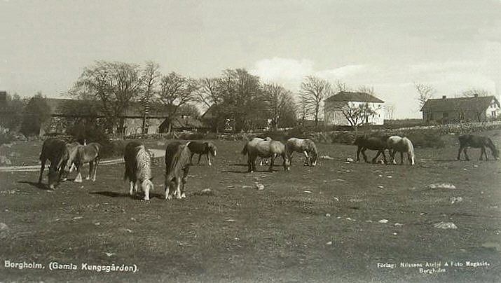 Öland, Borgholm Gamla Kungsgården