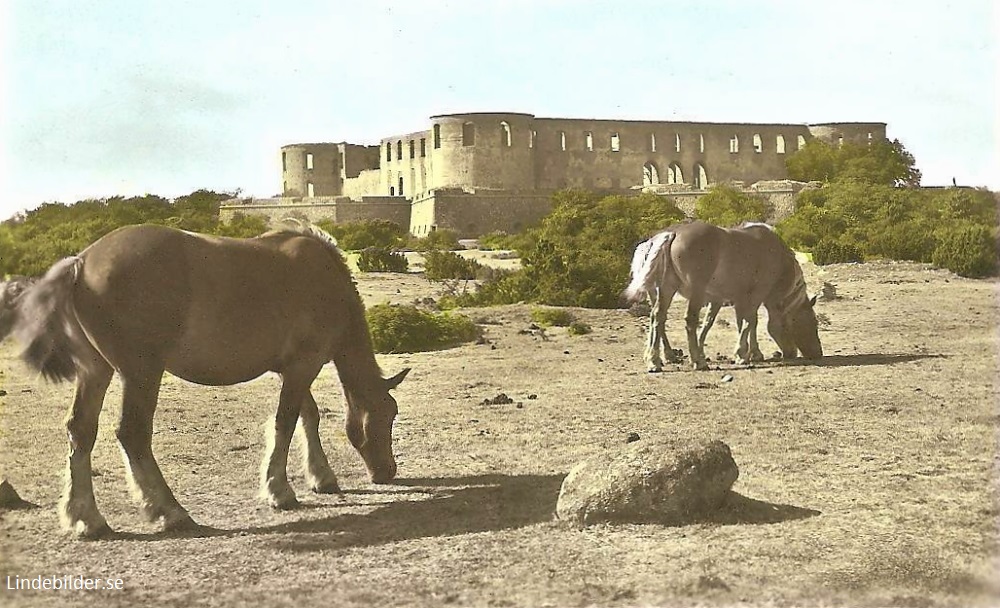 Borgholms slottsruin