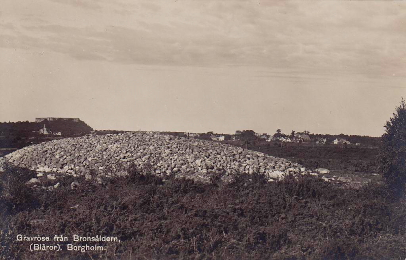 Öland, Borgholm Gravröse från Bronsåldern, Blårör