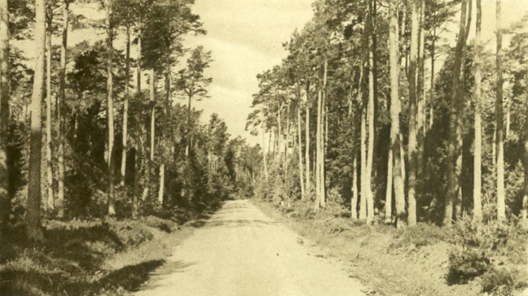 Öland, Böda Kronopark